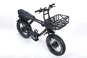 electric bike with front basket