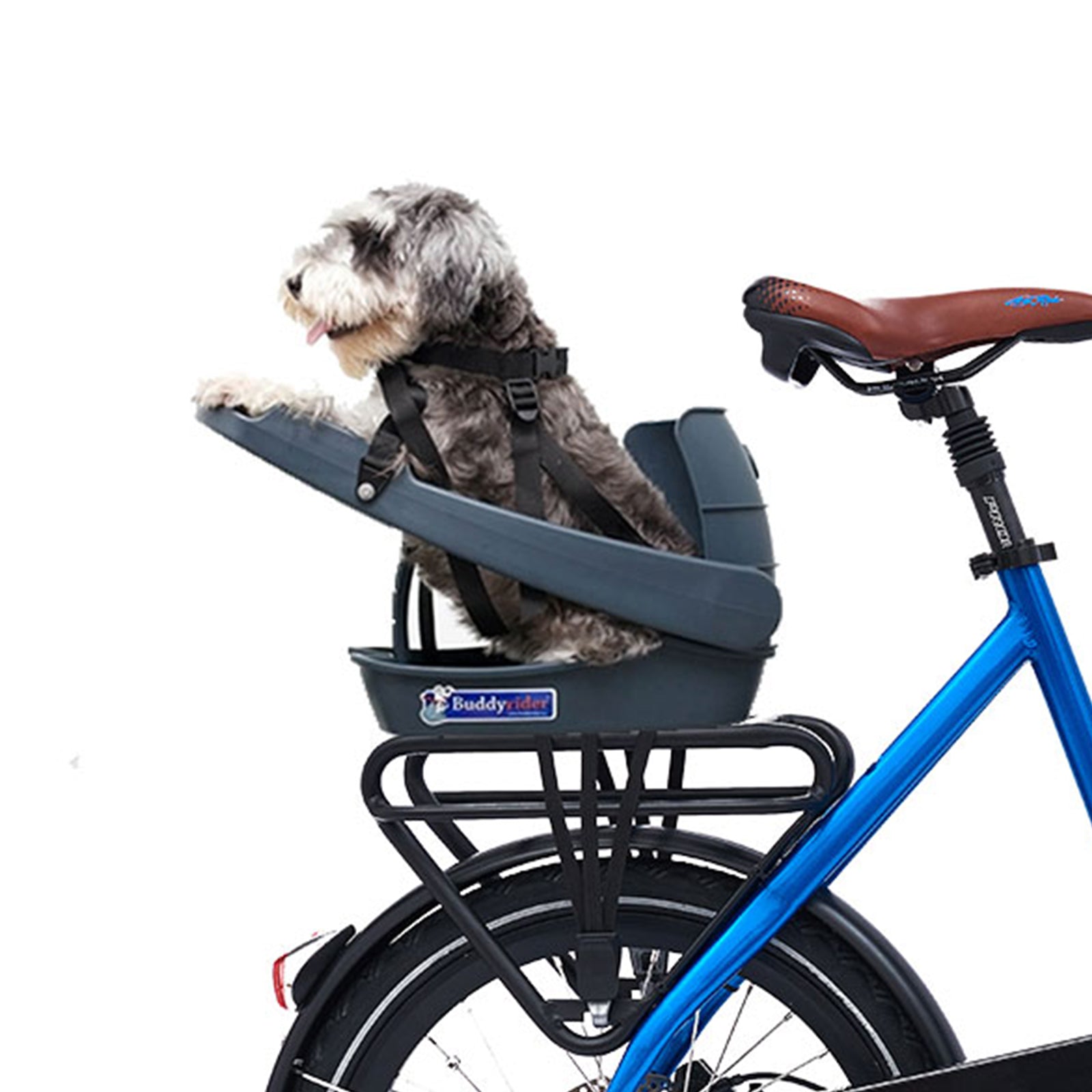 rear bike pet carrier