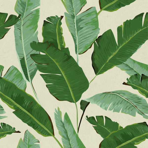 Banana Leaves Wallpaper by MINDTHEGAP – Vertigo Home
