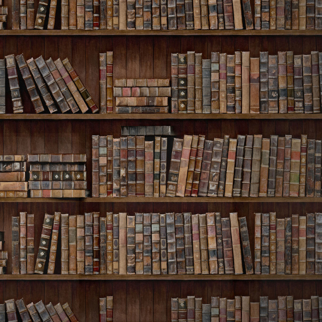 Book Shelves Wallpaper by MINDTHEGAP – Vertigo Home