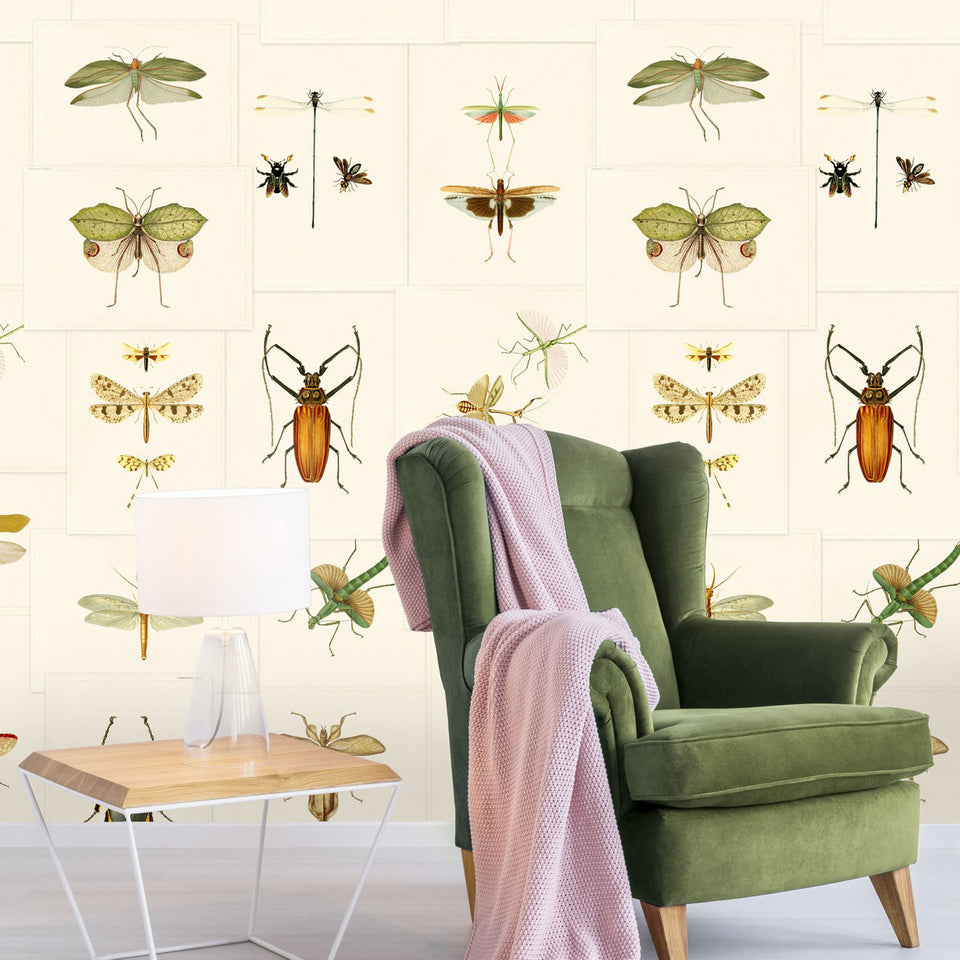 Entomology Wallpaper by MINDTHEGAP – Vertigo Home