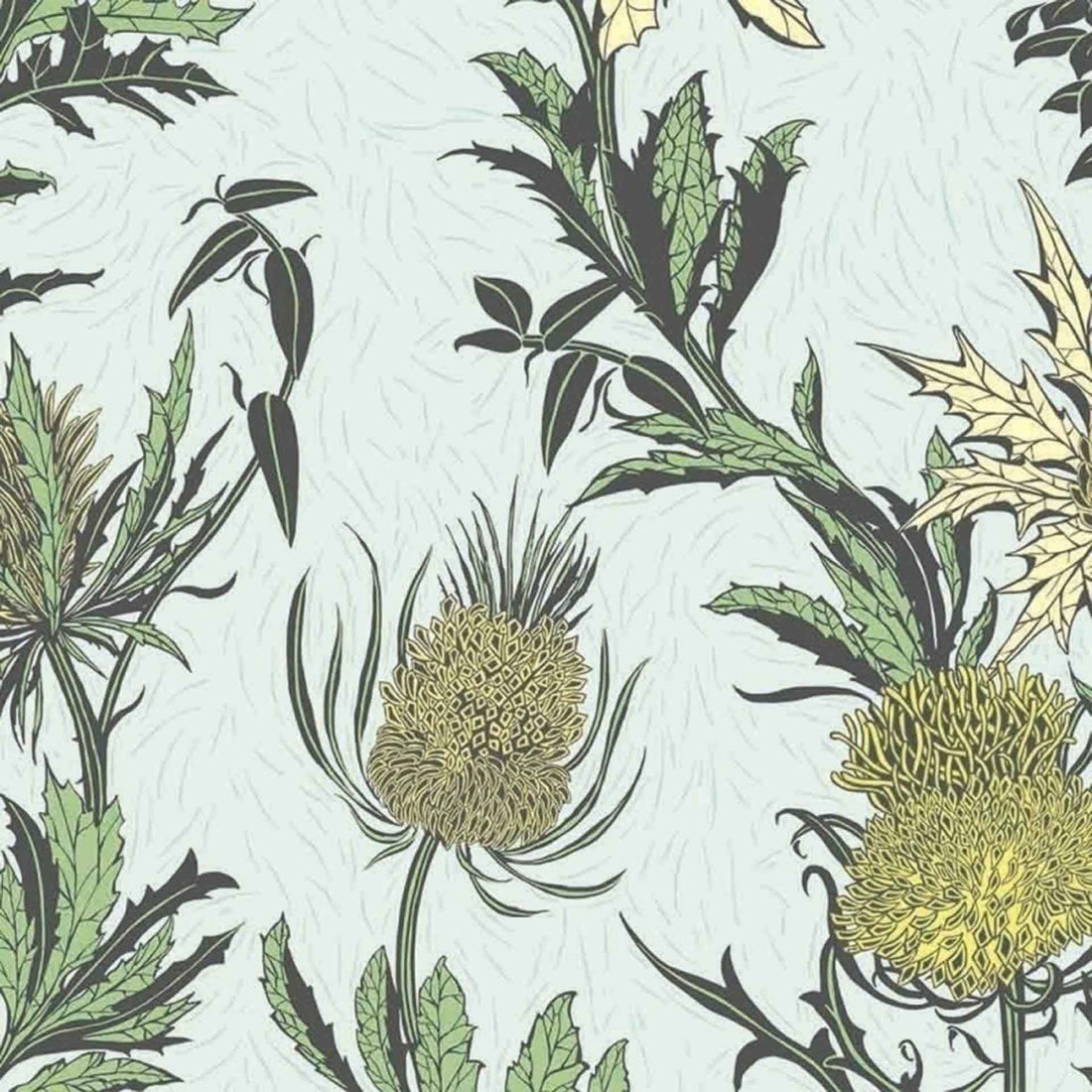 Copy of Cole & Son - Botanical Botanica - Thistle Wallpaper – Vertigo Home