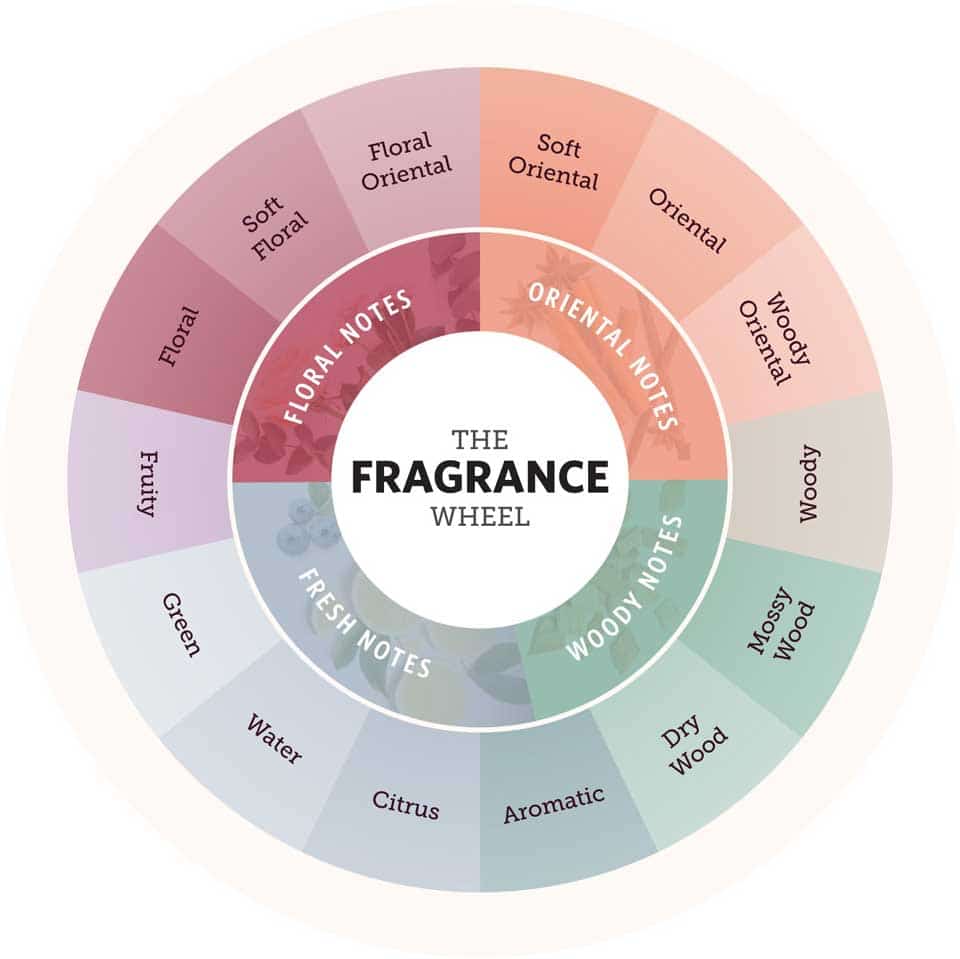 The fragrance wheel from FragranceX
