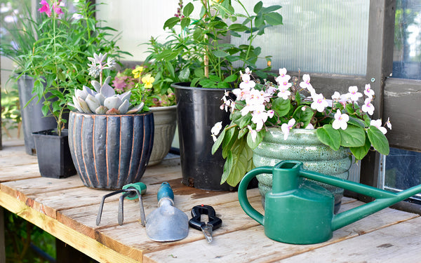 Sunroom with gardening supplies 