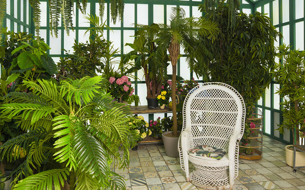 Sunroom filled with plants 