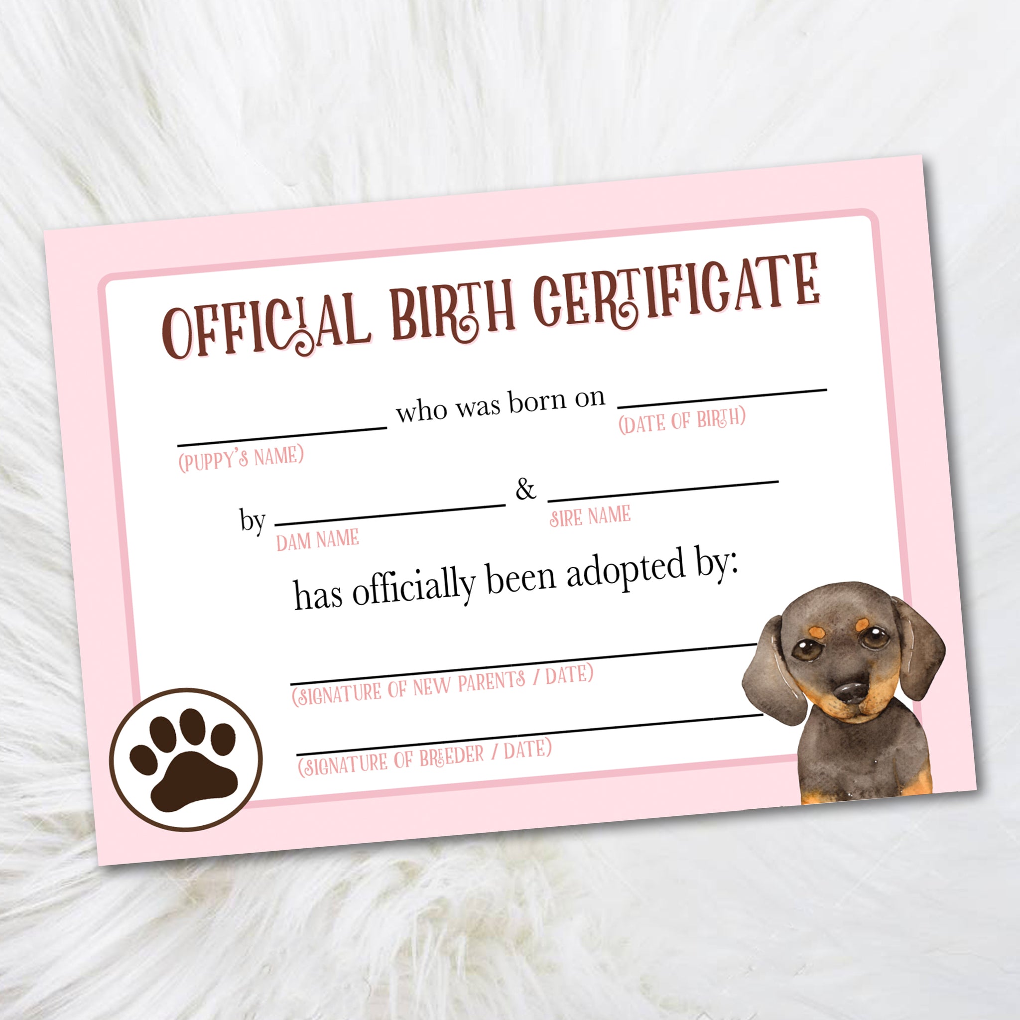 Dachshund Birth Certificate, Official Pet Adoption Certificate