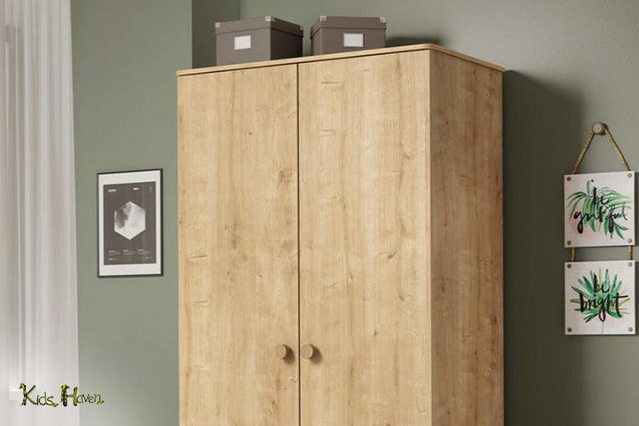 Wood Style 2 DoorWardrobe