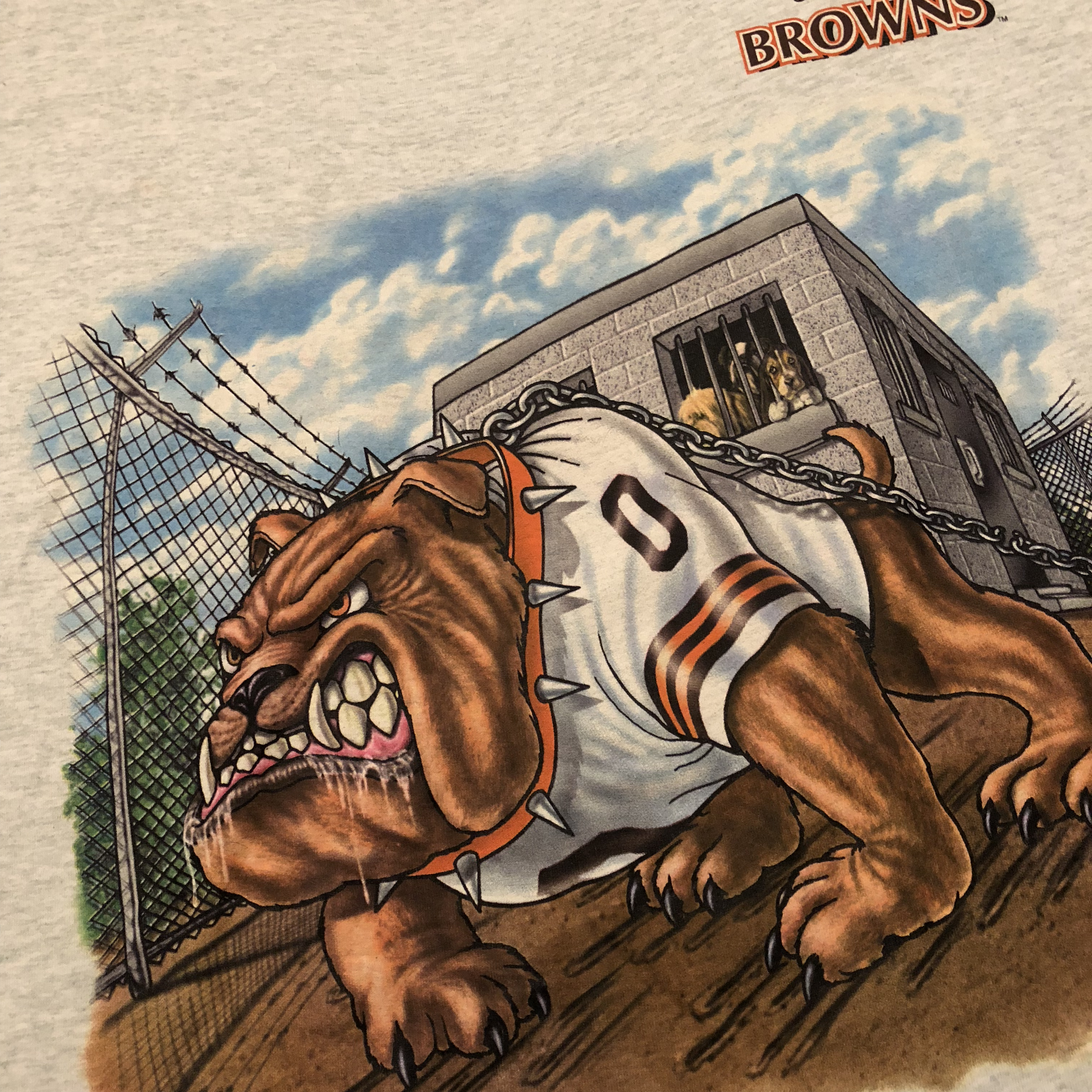 cleveland browns dog shirt