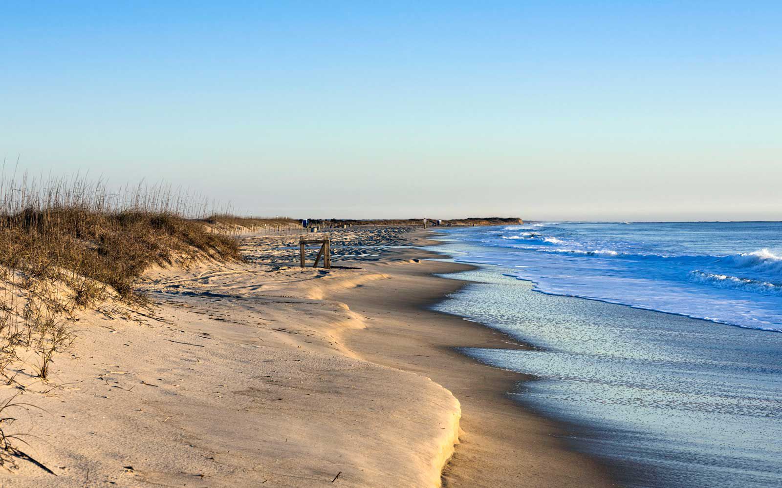 what beaches allow dogs in north carolina