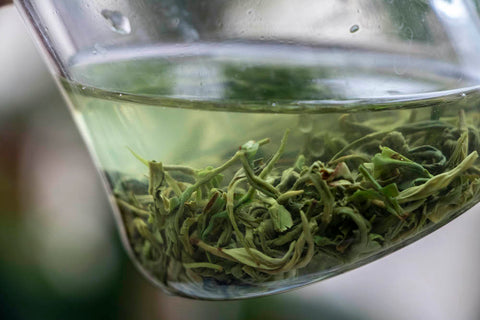 green tea, chinese green tea, spring green tea