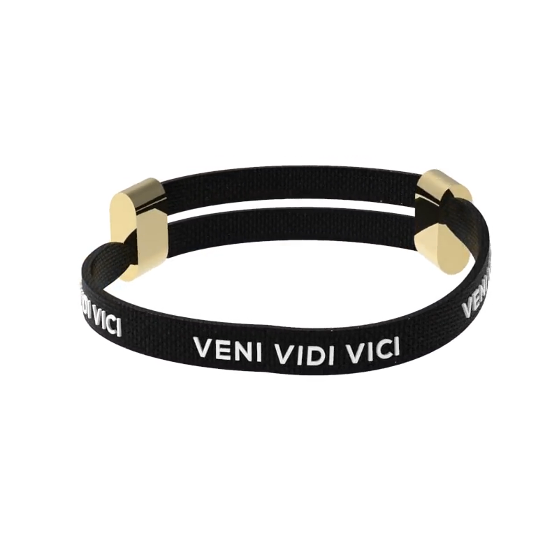 Veni Vidi Vici - VINTAGE TEE – Mentality