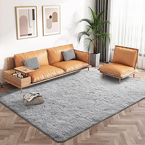 Ophanie Ultra Soft Fluffy Area Rugs for Living Room, Luxury Shag Rug Faux  Fur Non-Slip Floor Carpet for Bedroom, Kids Room, Baby Room, Girls Room,  and