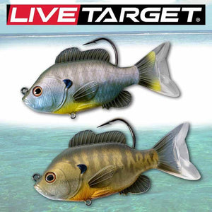 Live Target Croaker Swimbait