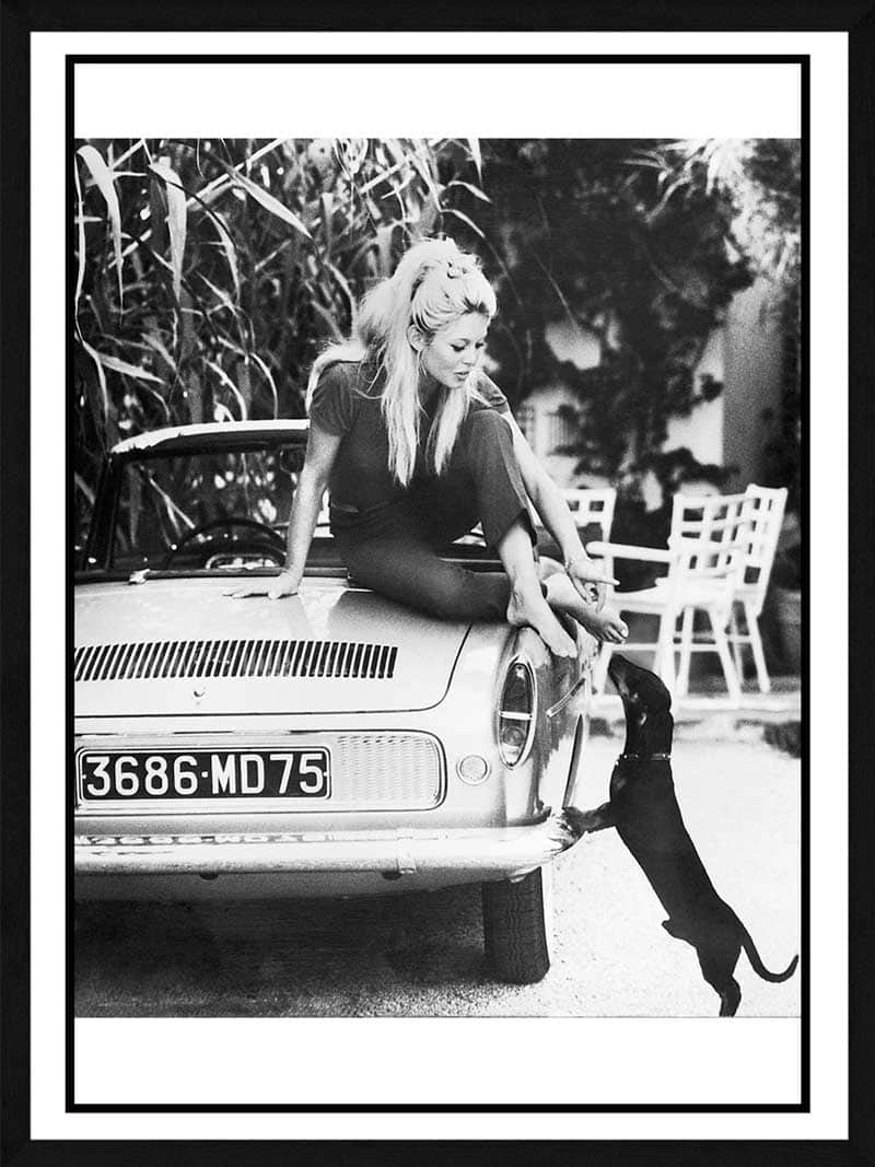 Billede af Brigitte bardot - plakat