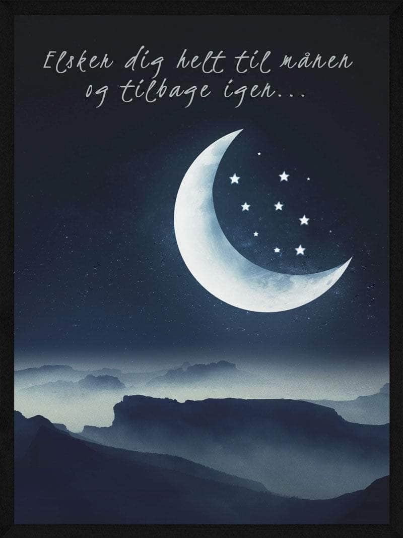 Billede af Elsker dig helt til månen plakat