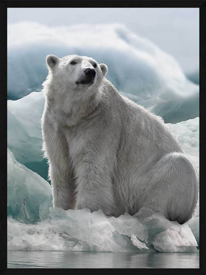 Billede af Isbjørn plakat