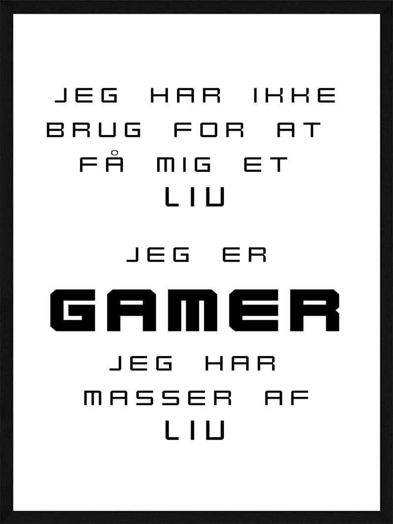 Billede af Jeg er GAMER - Gamer plakat