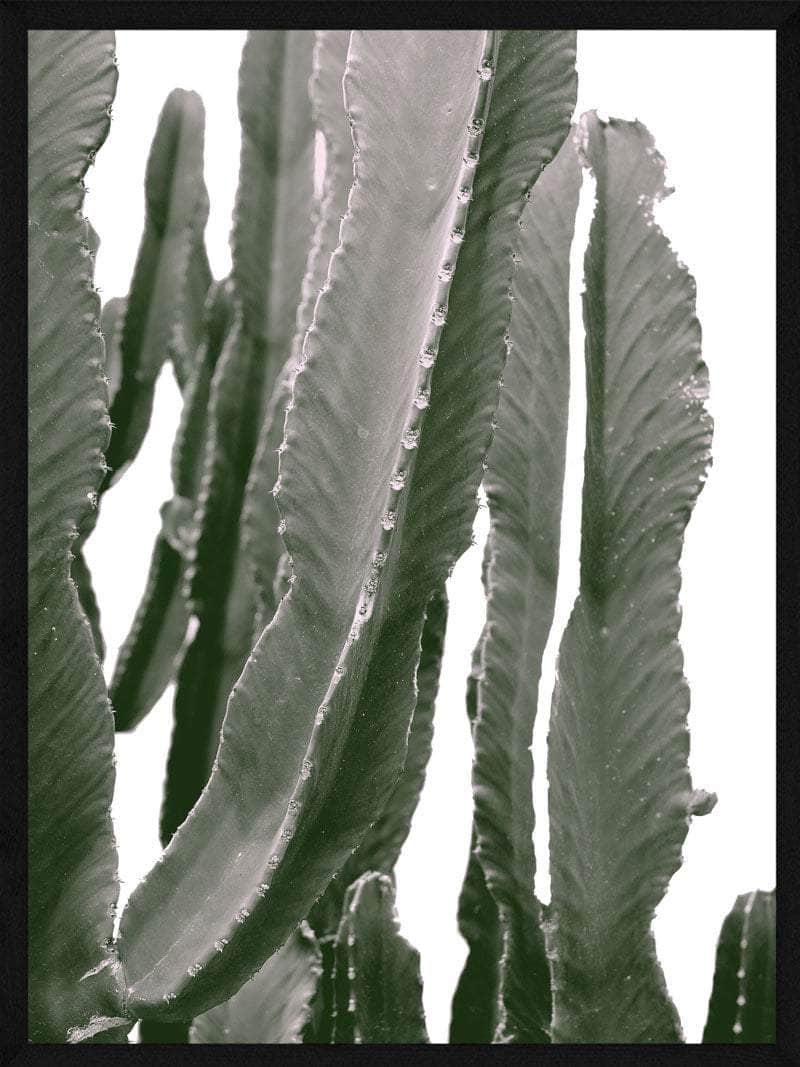 Billede af Kaktus med arme plakat