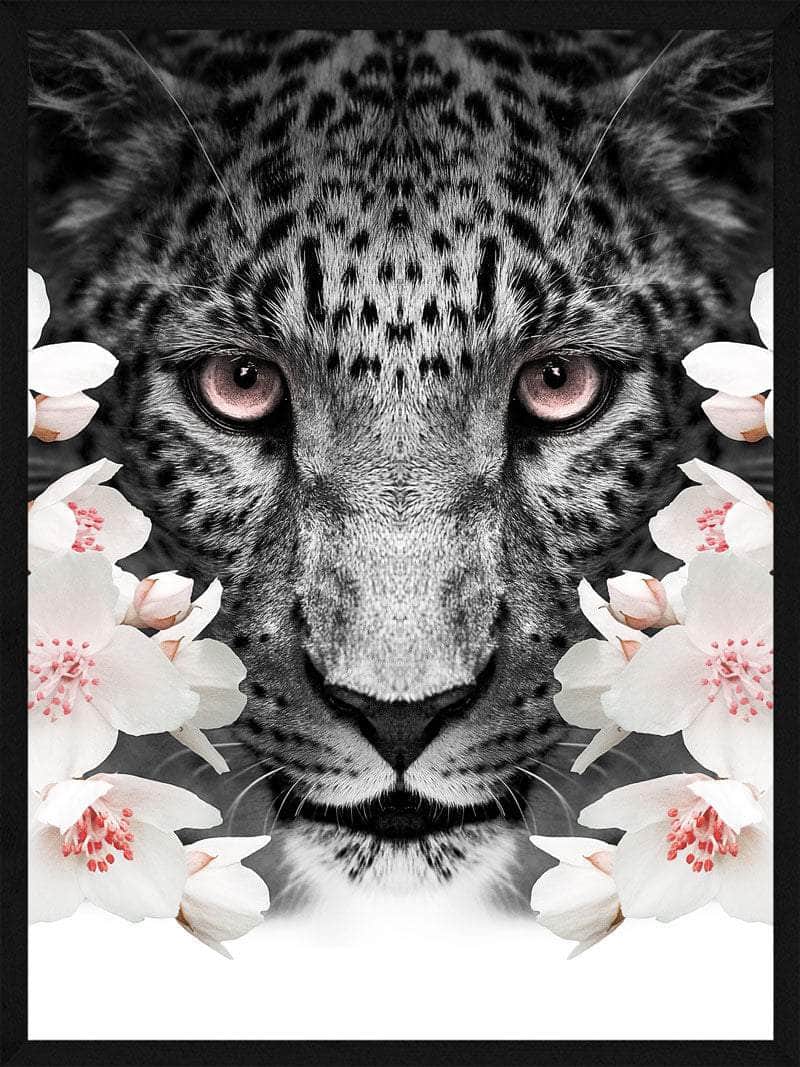 Billede af Leopard i blomster plakat