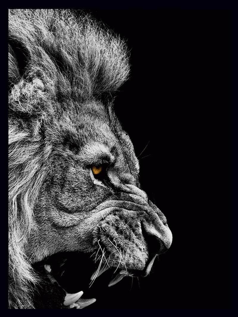 Billede af Løve brøl - Plakat