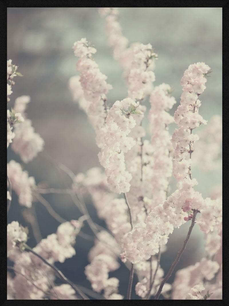 Billede af Lyserøde blomster