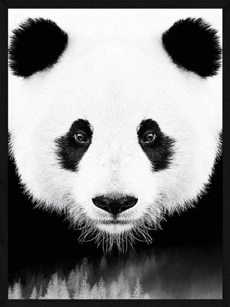 Billede af Panda plakat