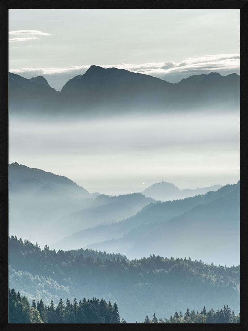 Billede af Skov i tåge