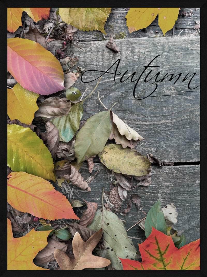Billede af Autumn efterårs plakat