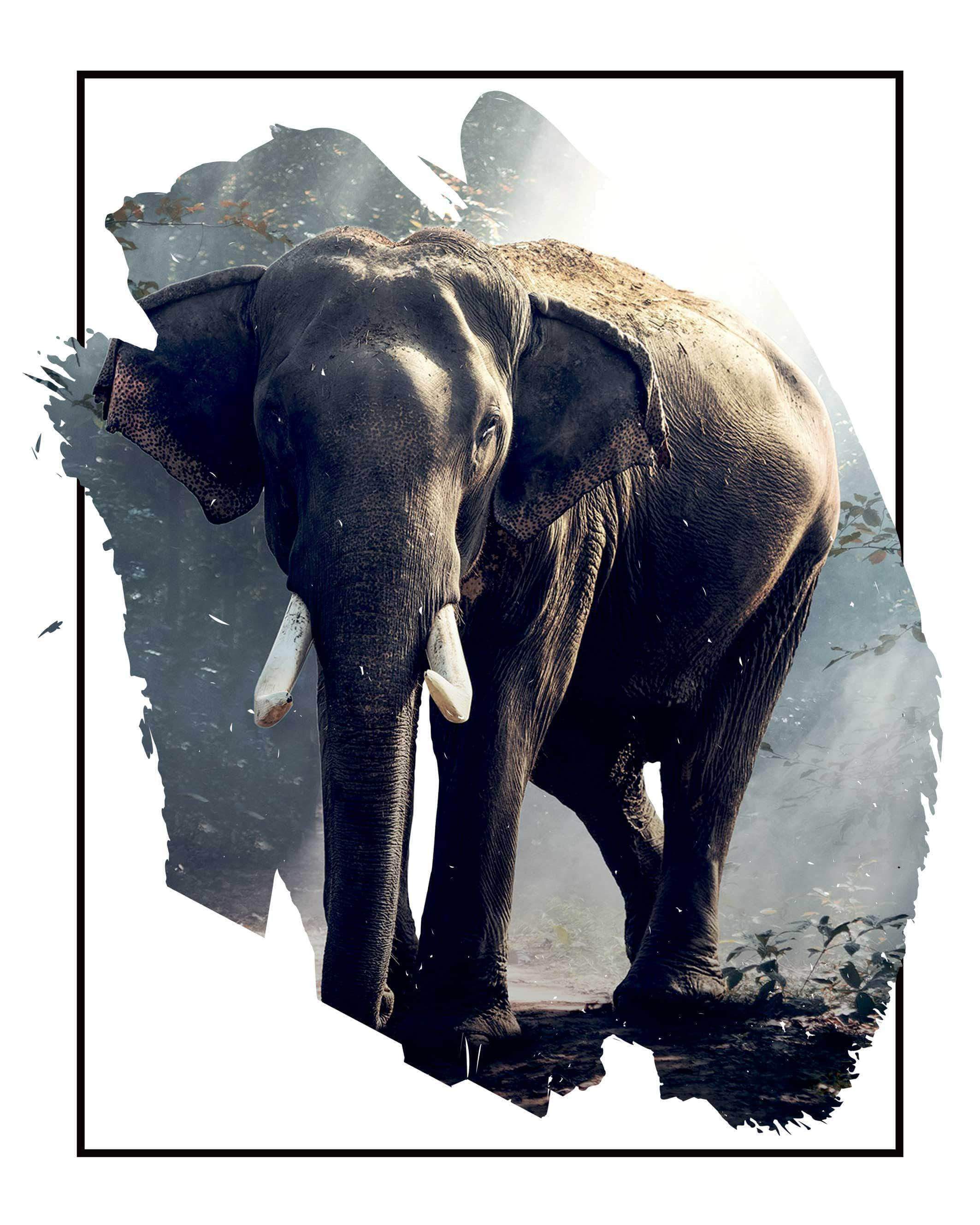 Se Elefant i skovlysning - Plakat hos POSTERSbyUS