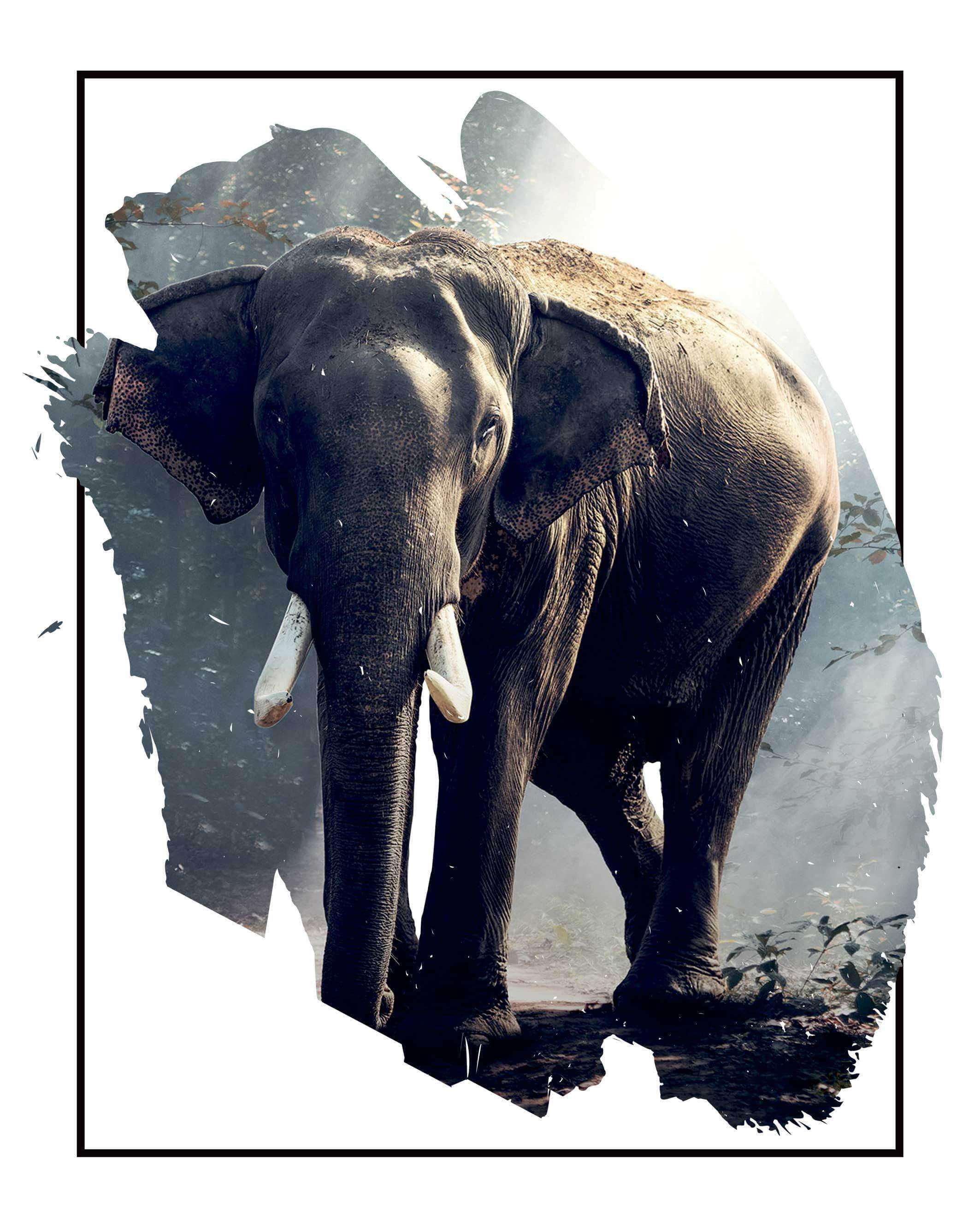 Billede af Elefant i skovlysning - Plakat