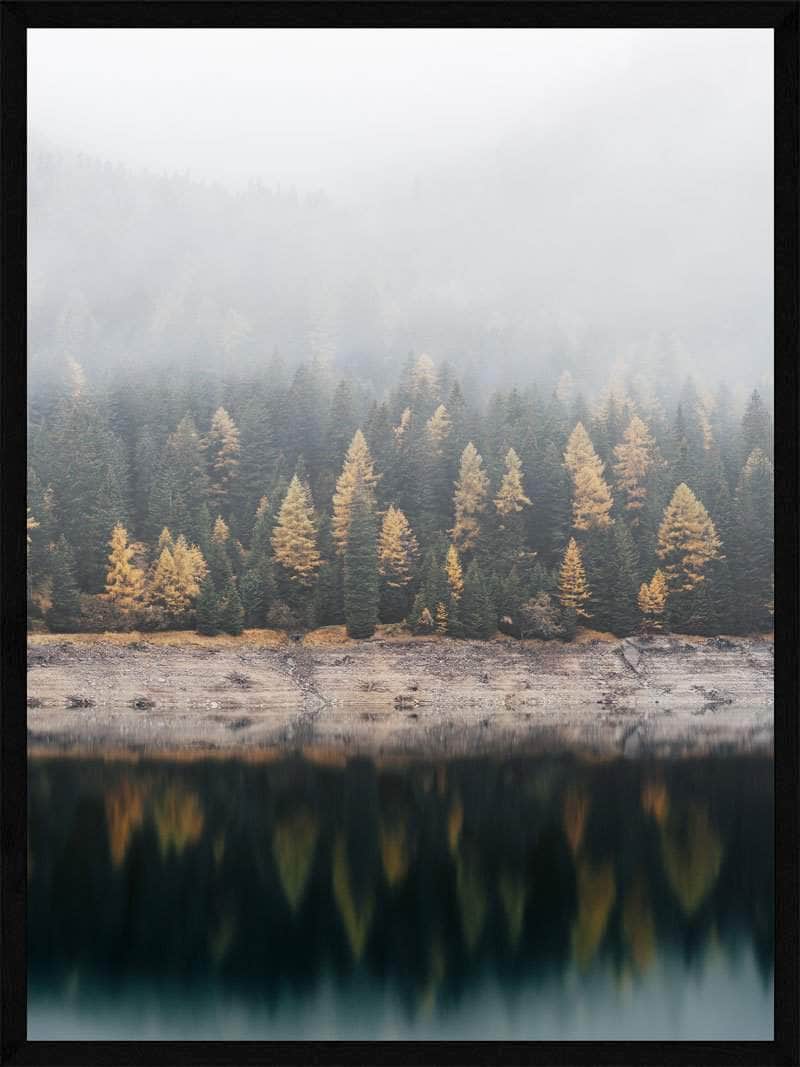 Billede af Forårsskov i tåge plakat