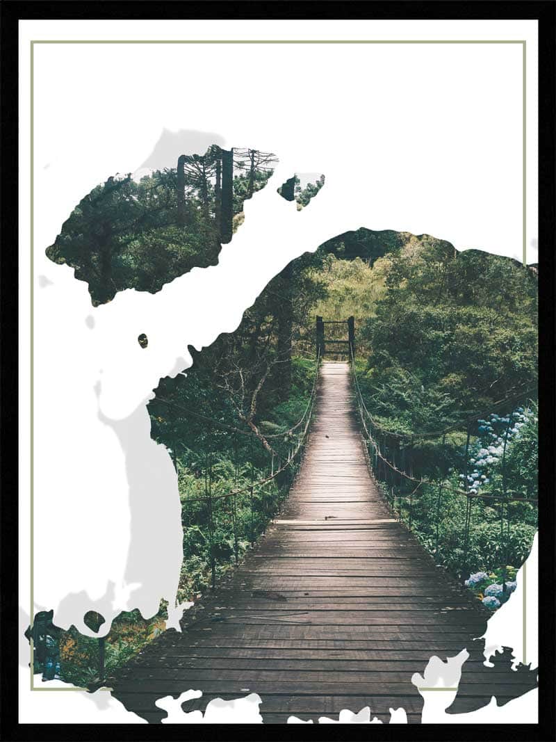 Billede af Junglebro - Natur plakat