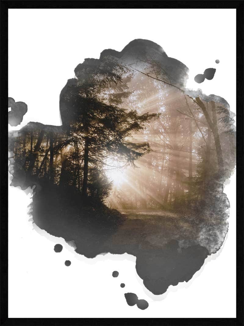 Billede af Lysindfald skov - Natur plakat