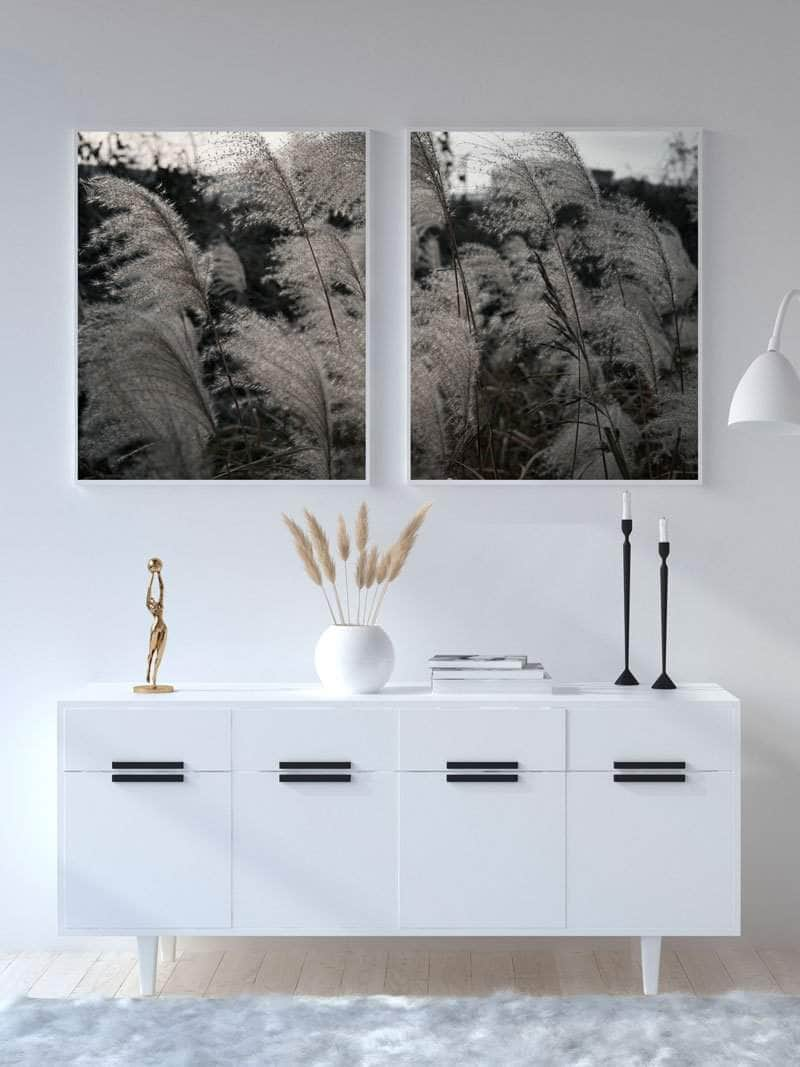 Billede af Pampas plakat