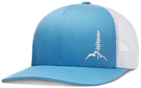 light blue jordan hat