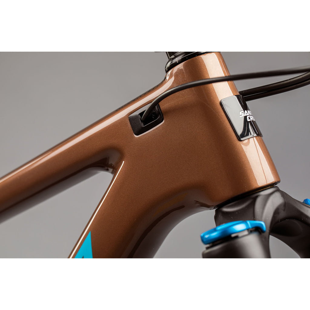 santa cruz chameleon frame carbon