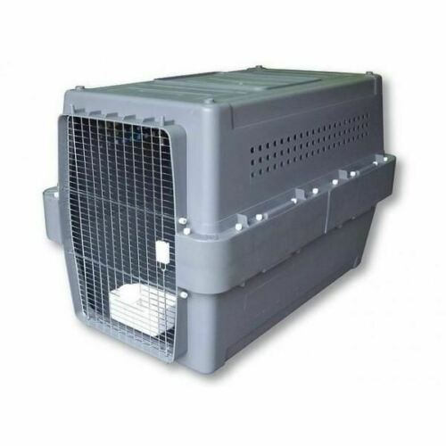 airline dog crate