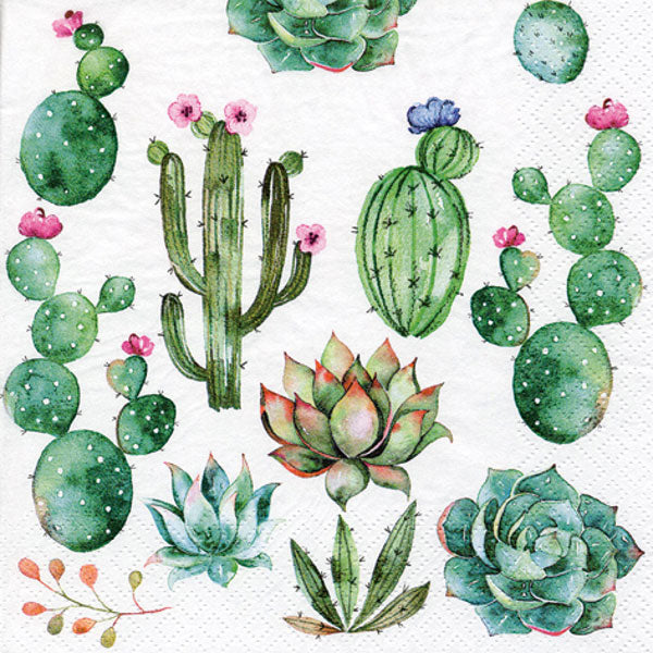 Tiflair Cactus & Succulents Lunch Napkins 3 ply