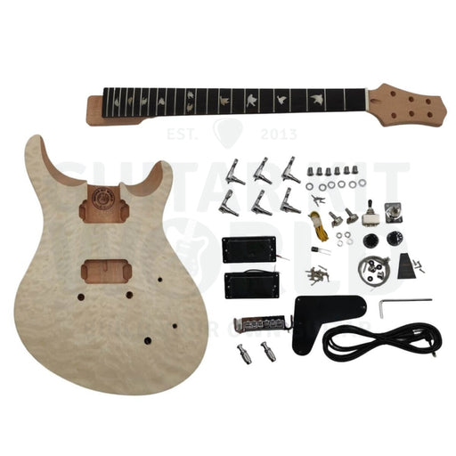 Méga kit guitare double bras