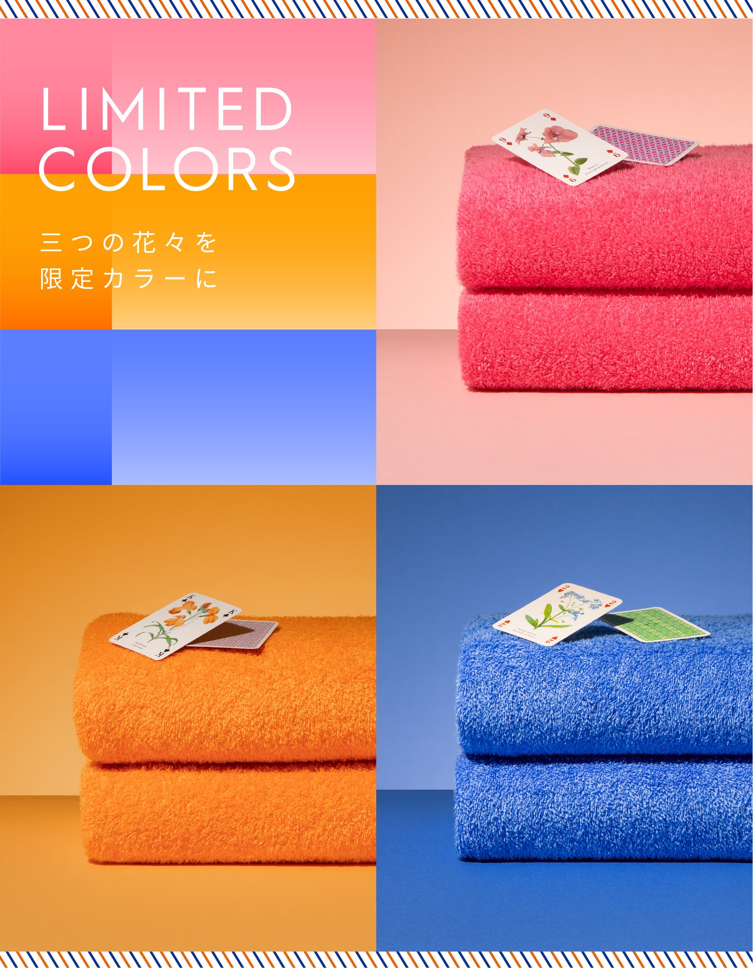 LIMITED COLORS-2023 Spring｜Hippopotamus-ヒポポタマス