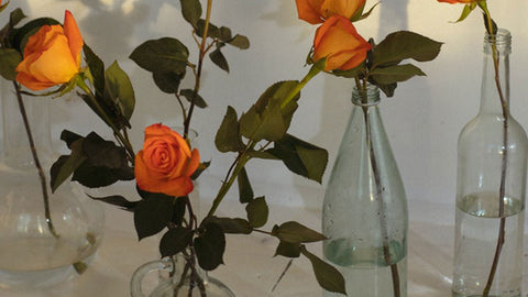 Reuse glass bottles and perfume bottles as flower vases