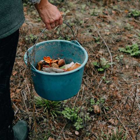 Composting Tips, image by Maria Naichenko