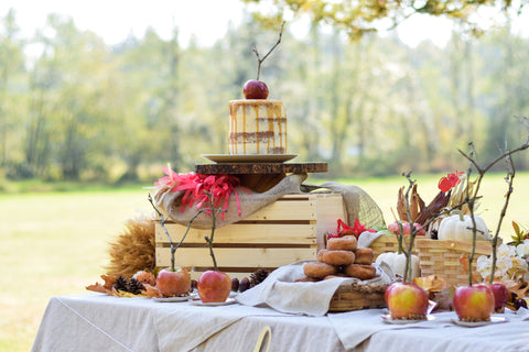 Fall Harvest Apple Orchard Party