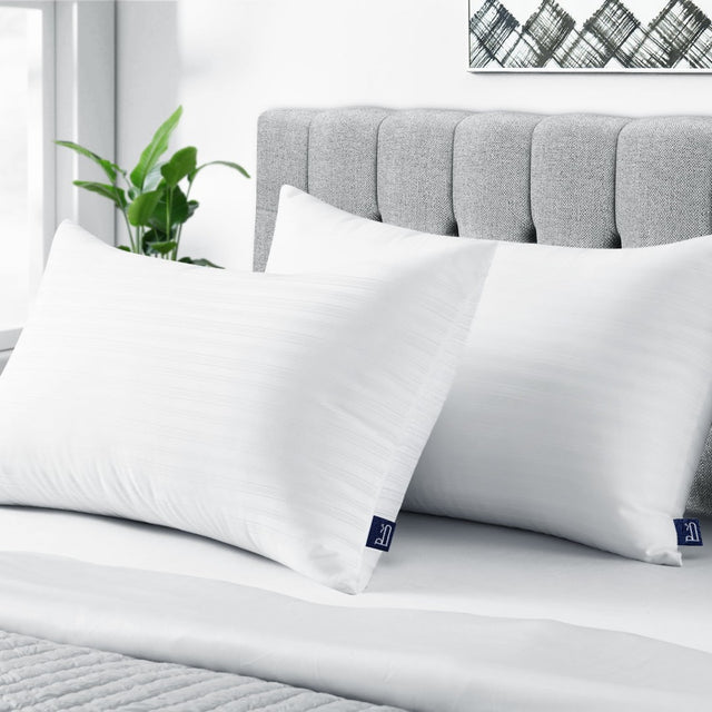 BedStory Almohada 50x75 Pack 2 Almohada Hotel Lujo y Cómodas Pillows for  Bed Blanditas Almohadas Antiácaros para Cama Relleno 3D Fibra Mantiene la  Forma【Nueva Versión】 Azúl : : Hogar y cocina