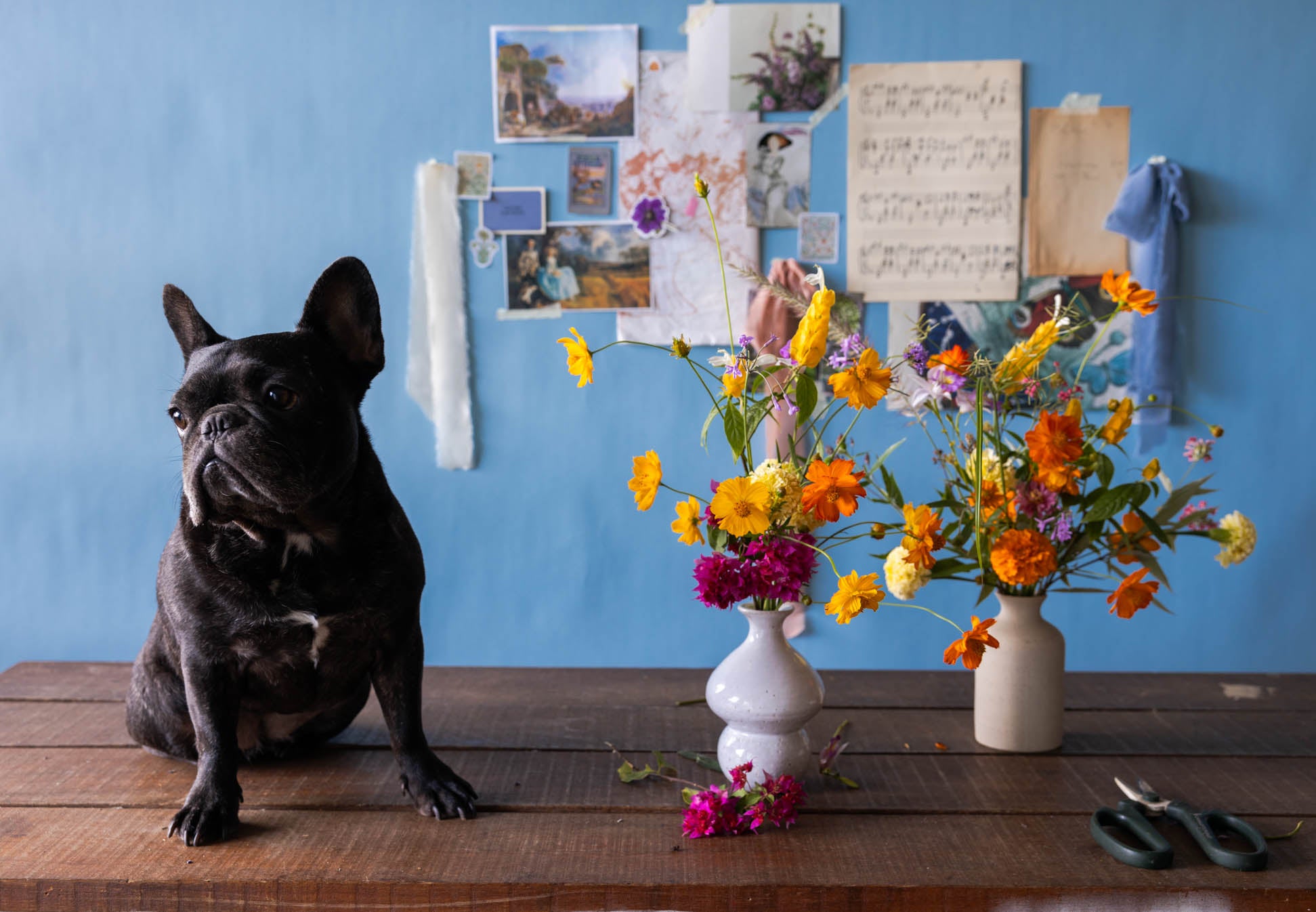 Flower Garden Arrangement | Our Own Flower Collection