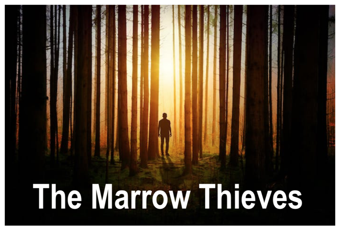 the marrow thieves cherie dimaline