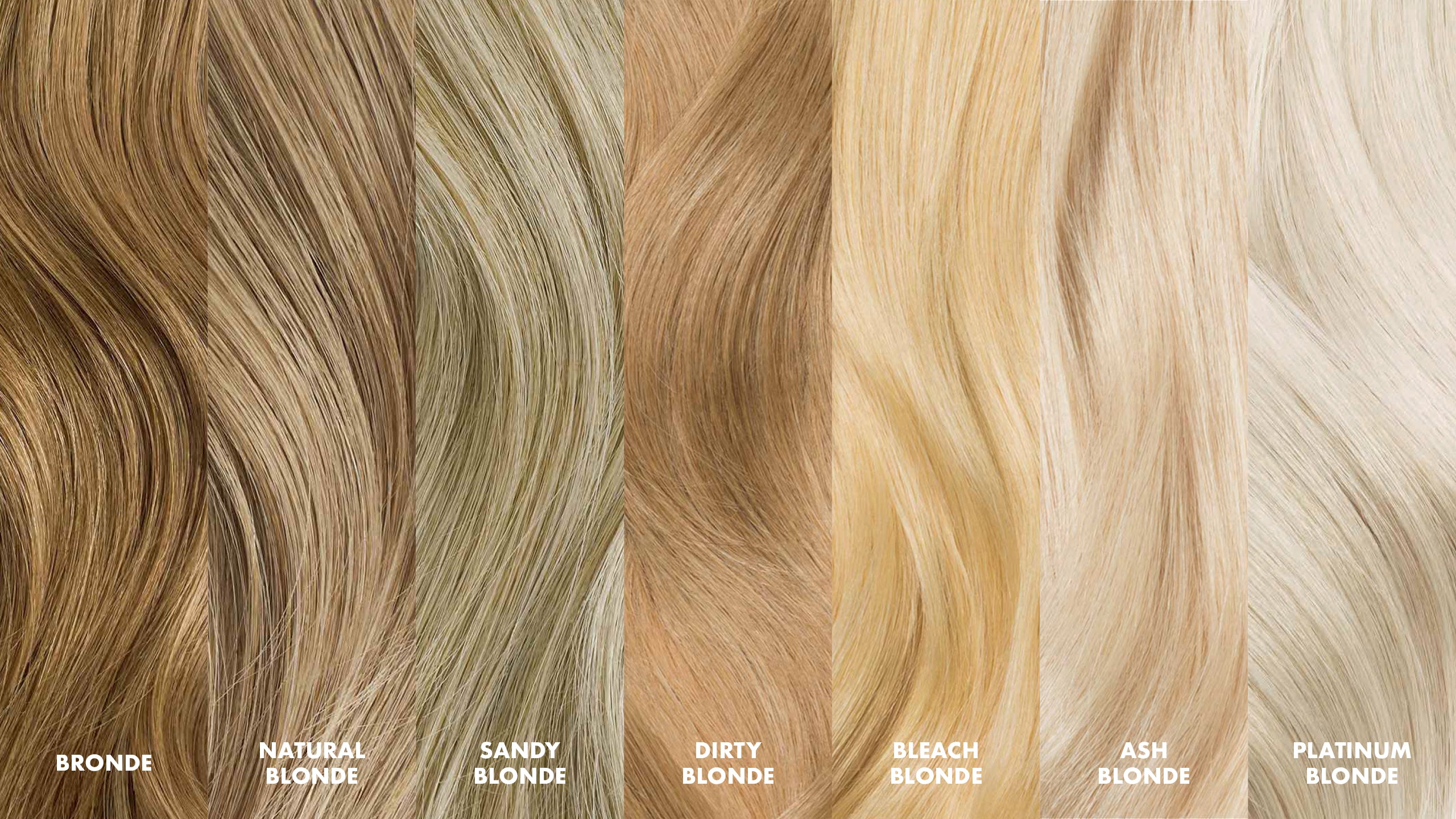 4. "Bleach Blonde vs. Golden Blonde: What's the Difference?" - wide 10