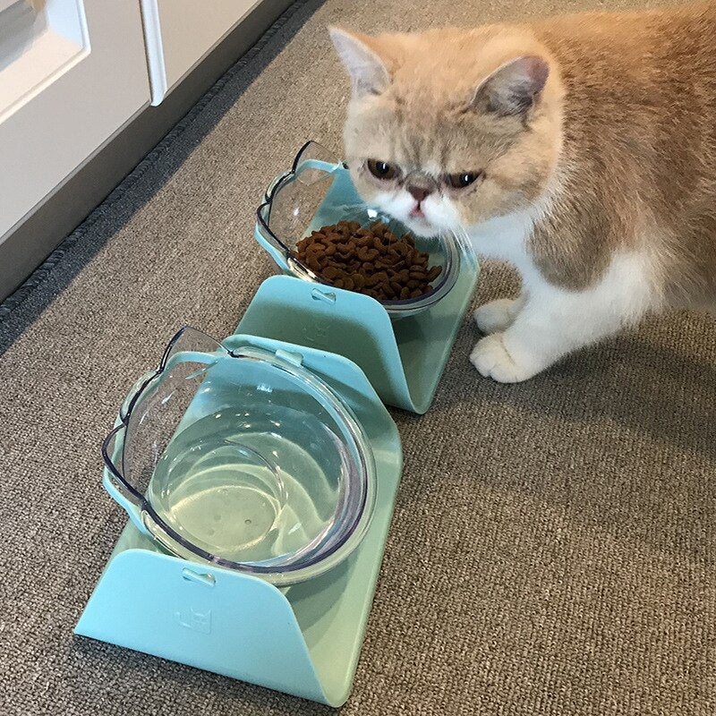 elevated cat feeder