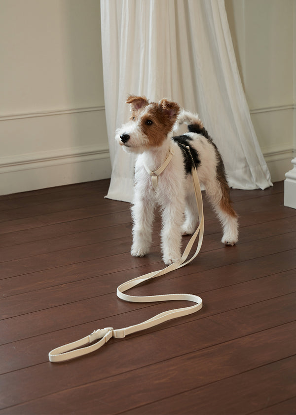 Classic two ways leash