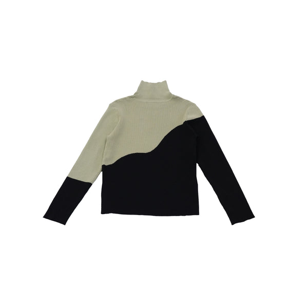 bicolor turtleneck